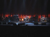 alex (37) 